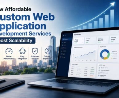 affordable custom web application development services