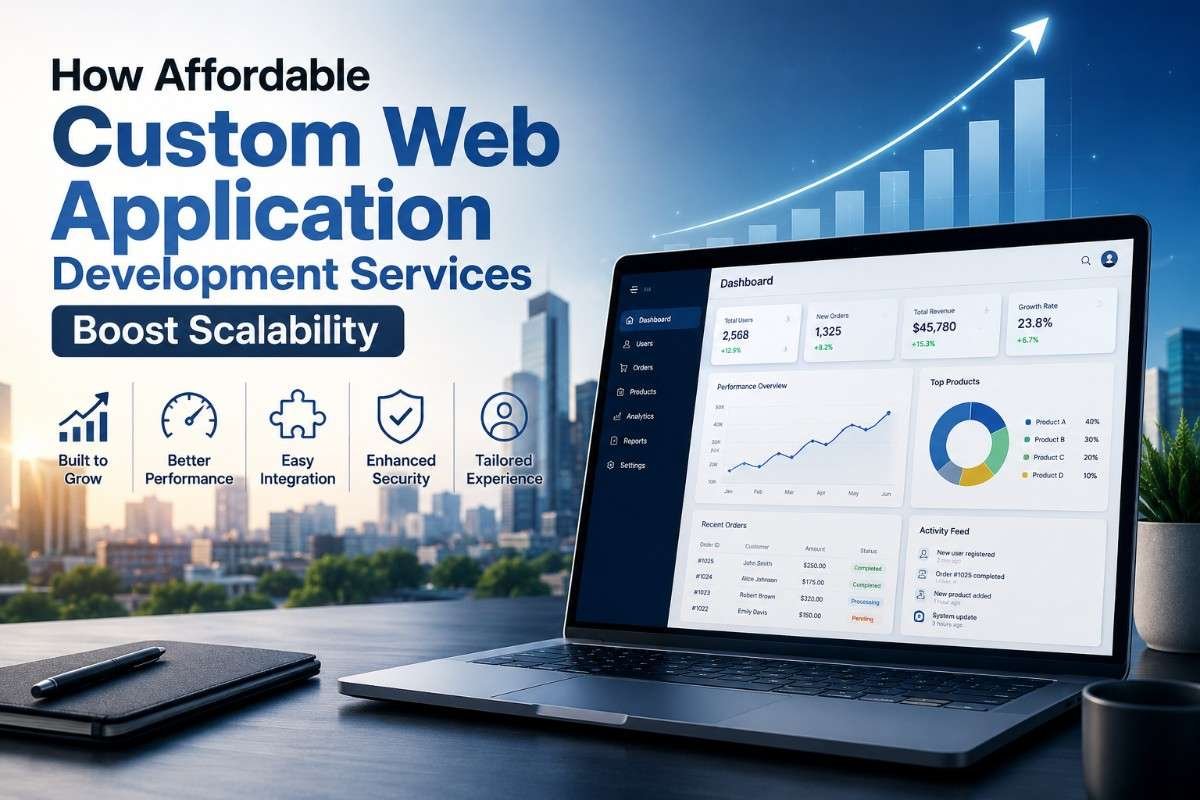 affordable custom web application development services